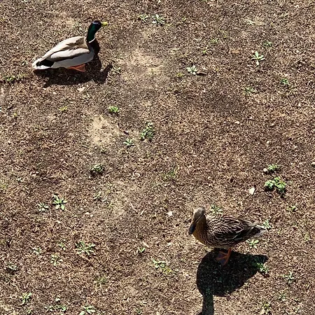 Apartment Achter Wiek